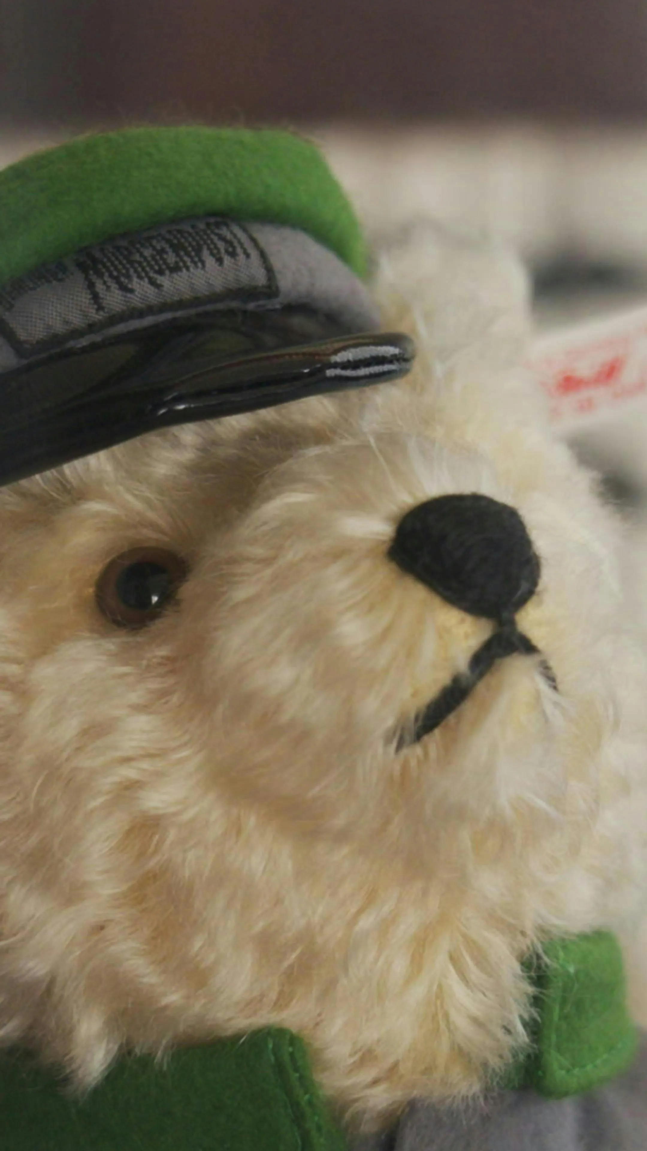 Morgenpost Steiff-Bär